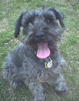 Read more about Barney